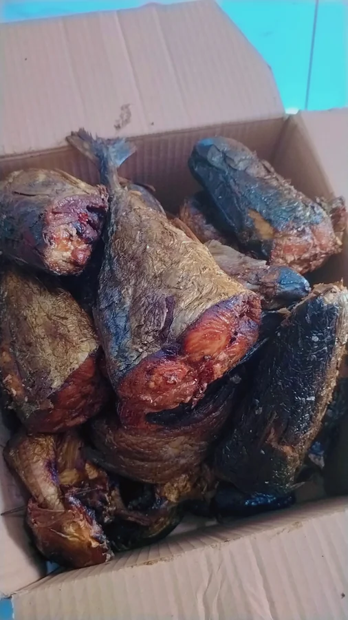 Poisson fumé